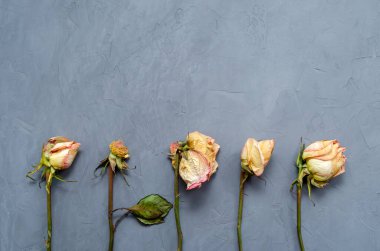 Düşen yapraklar ve kurumuş yapraklarla solmuş güller üst üste serili gri bir arka planda paralel uzanır.