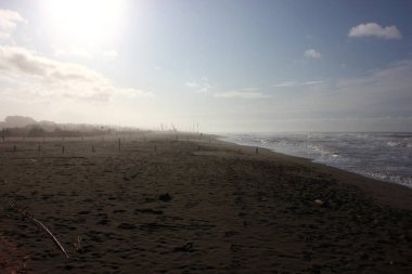 Corona Forte dei Marmi 'de boş spiaggia, Tuscany, İtalya