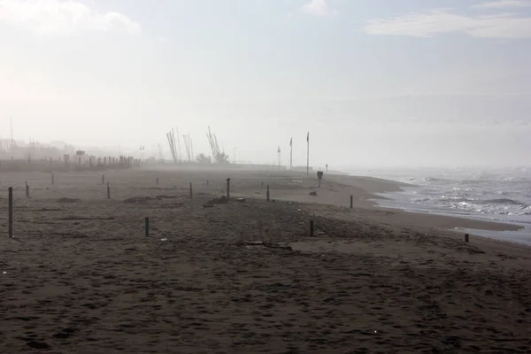 Corona Empty Spiaggia Forte Dei Marmi Toskana Italien — Stockfoto