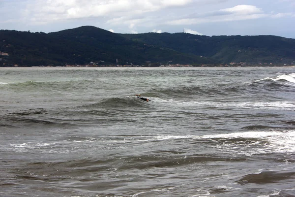 Surfing Corona Times Marina Caarrara Tuscany Italy — Stock Photo, Image