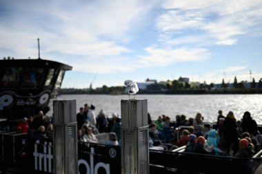 Güneşli bir günde Hamburg Limanı 'nın önündeki martıların detayları. Arka planda vinçler ve yolcu feribotları var..
