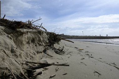 Torre del Lago 'daki Ölüm Nehri. Arka planda kum ve Akdeniz yer almaktadır. Kökleri bozulmuş eski bir çam ağacı var. Bulutlu Gökyüzü ve Erozyon Deniz seviyesinin yükselmesi nedeniyle.