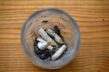 Pis Böcek kül tablasında oturuyor. Halyomorfa halyleri kül tablasında sigarayla oturuyorlar. Kül tablası ahşap masada duruyor..