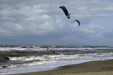 İtalya sahilinde uçurtma. Torre del Lago sahilindeki uçurtmacılar, Toskana, İtalya. Bazıları sudan çıkmakta zorlanıyor. Akdeniz.