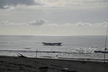 Tore del lago Puccini 'deki Akdeniz Sahili. Küçük güneşli sonbahar gökyüzü. Sudaki yansımalar.