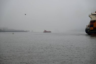 Gemiler sisli bir günde Hamburg Limanı 'na varırlar. Turna, kap, nehir, su. Hamburg Limanı, Hamburg, Almanya