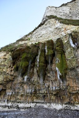 Normandiya kıyısındaki Ağlayan Kaya, Fecamp, Fransa. Uçurum hattı, sahil ve Fecamp 'deki Normandiya kıyılarının detayları. Fransız Kanalı 'ndan İngiliz Kanalı.