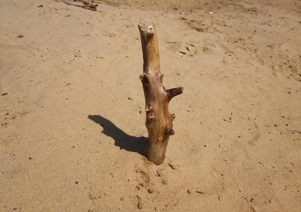 Velho Obstáculo Uma Praia Areia Dia Ensolarado Brilhante — Fotografia de Stock