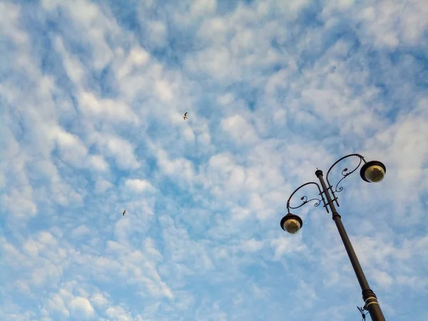 Kabarık Beyaz Bulutları Olan Doğal Mavi Gökyüzü Arka Planında Bir — Stok fotoğraf