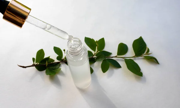 Pipeta Kosmetyczna Butelka Zielona Gałąź Białym Tle — Zdjęcie stockowe