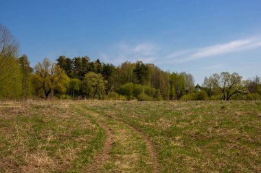 Bahar ormanı ve tarla yolu güneşli bir günde.