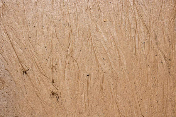 Влажный Песок Следы Ручьев Берегу Вид Сверху — стоковое фото
