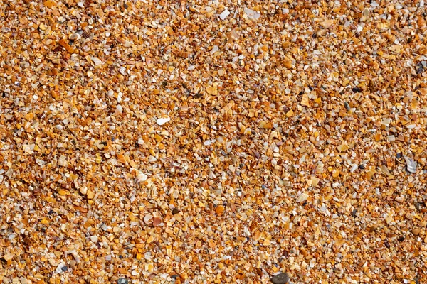 Wet Sand Shells Seashore Background Small Fragments Shells Top View — Foto Stock