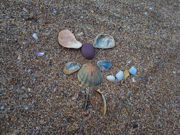 Auf Dem Sand Eine Mausfigur Aus Muscheln Und Kieselsteinen — Stockfoto