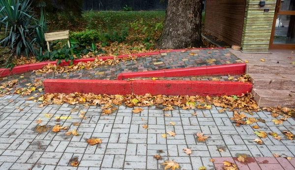 Chodník Červenými Okraji Pokryt Spoustou Padlých Barevných Podzimních Listí — Stock fotografie