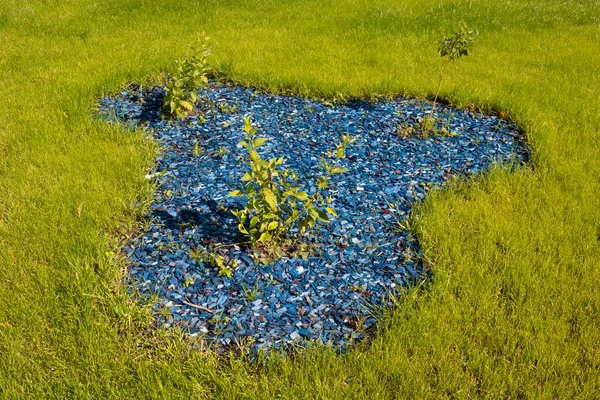 Césped Verde Parque Con Arbustos Una Decoración Hecha Chips Azules — Foto de Stock