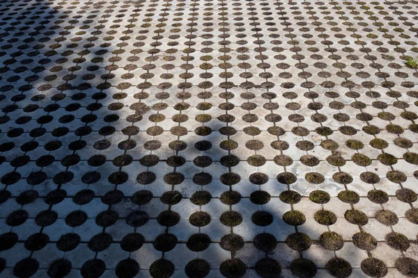 Geometric gray concrete tile with eco-parking cells With a hole for grass. Top view, paving stones for grass, block tiles made of concrete in the form of connected circles.