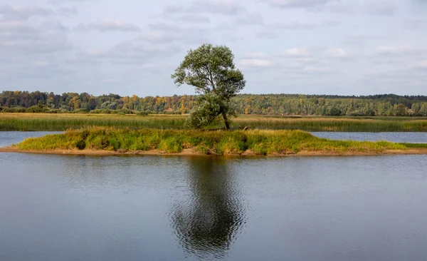 Landschaft Ein Einsamer Baum Auf Einer Insel Der Mitte Des — Stockfoto