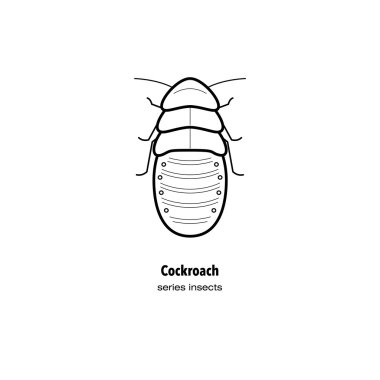 Böcek - bir hamamböceği.