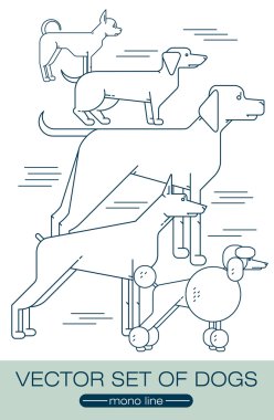 farklı köpek türleri.