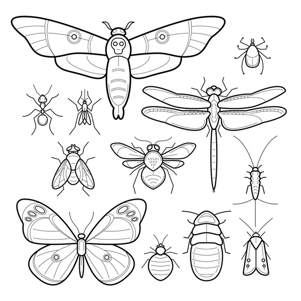 Conjunto de imagen de insectos vectores . — Vector de stock