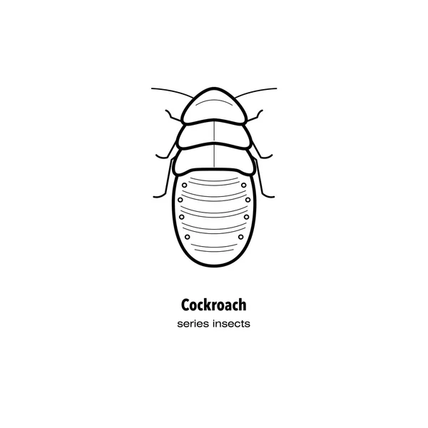 El insecto - la cucaracha . — Archivo Imágenes Vectoriales