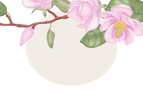 Tarjeta con la imagen de ramas de magnolia . — Vector de stock