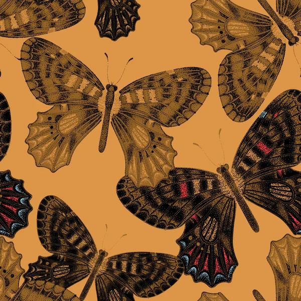 Безшовний візерунок з метеликами . — стоковий вектор
