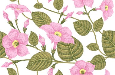 Kusursuz çiçek deseni.