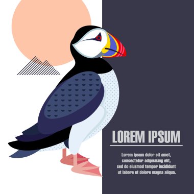 Bir kuş puffin görüntüsü ile Vektör şablonu posteri.