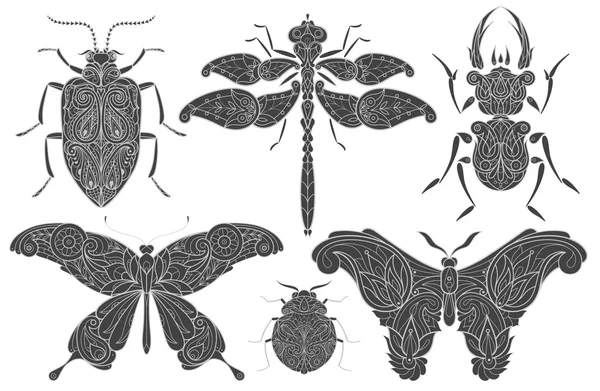 観賞用昆虫のセット. — ストックベクタ