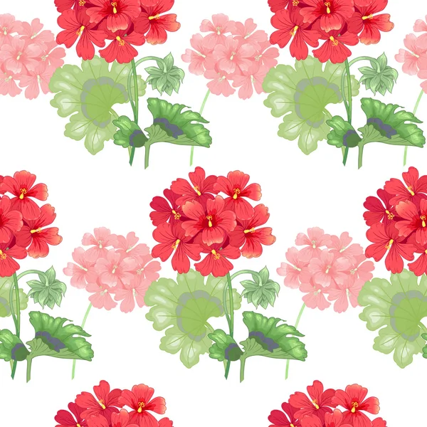 Vecteur motif floral sans couture. — Image vectorielle