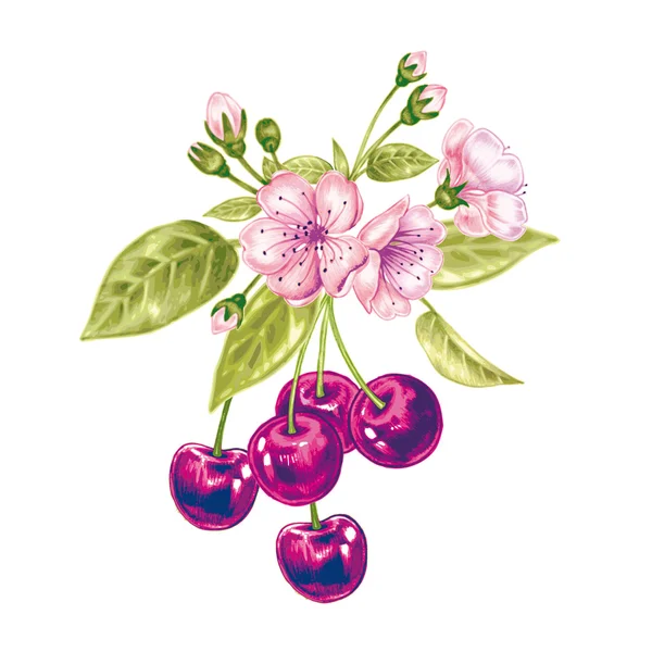 Modello senza cuciture vettoriale con fiore di ciliegio . — Vettoriale Stock