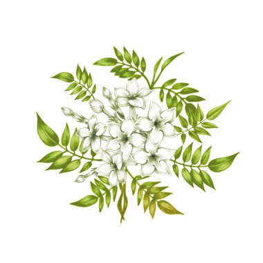 Free Free 247 Jasmine Flower Svg Free SVG PNG EPS DXF File