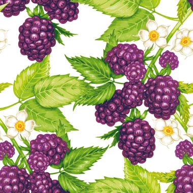 Böğürtlen ile vektör dikişsiz çiçek deseni.