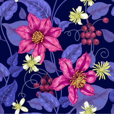 Çiçek clematis ile Dikişsiz desen.