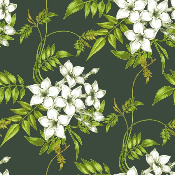 Patrón floral sin costura vectorial con flores de jazmín . — Vector de stock