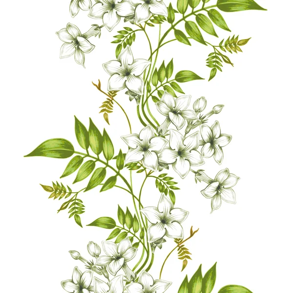 Vector seamless floral pattern with jasmine flowers. — Stock Vector