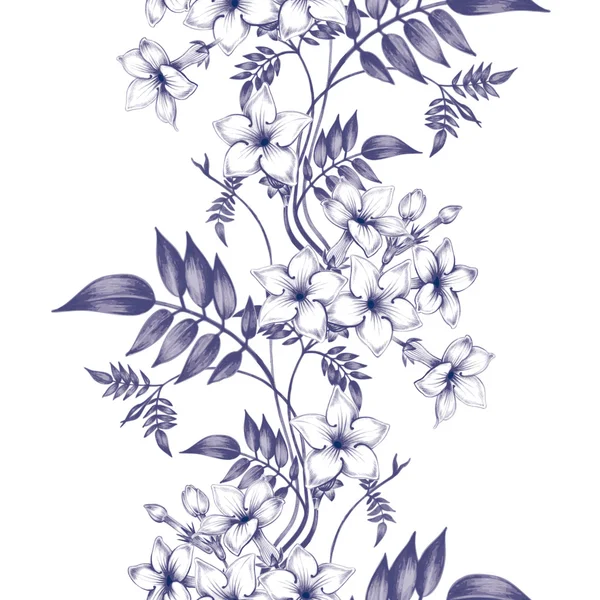 Patrón floral sin costura vectorial con flores de jazmín . — Vector de stock