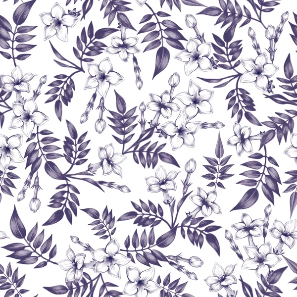 Motif floral vectoriel sans couture avec des fleurs de jasmin . — Image vectorielle