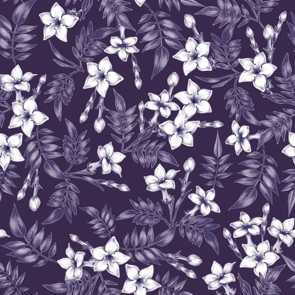 Vector naadloze bloemen patternmet jasmijn bloemen. — Stockvector