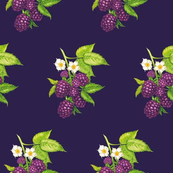 Motif floral vectoriel sans couture avec mûre . — Image vectorielle