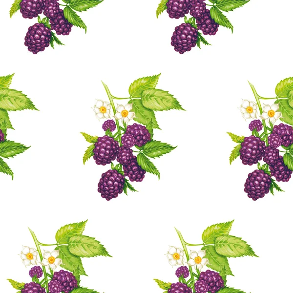 Motif floral vectoriel sans couture avec mûre . — Image vectorielle