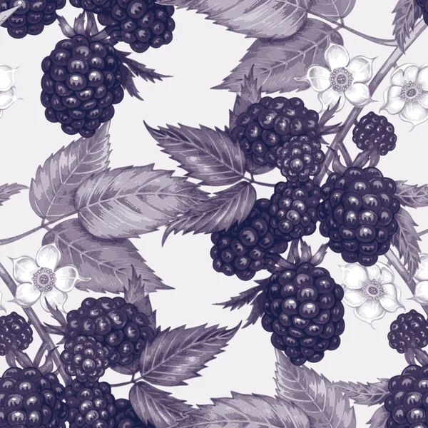矢量无缝花卉图案与黑莓. — 图库矢量图片