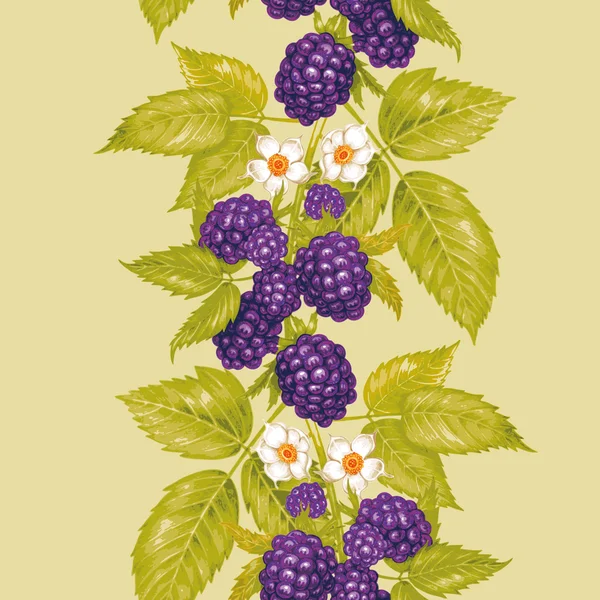 矢量无缝花卉图案与黑莓. — 图库矢量图片