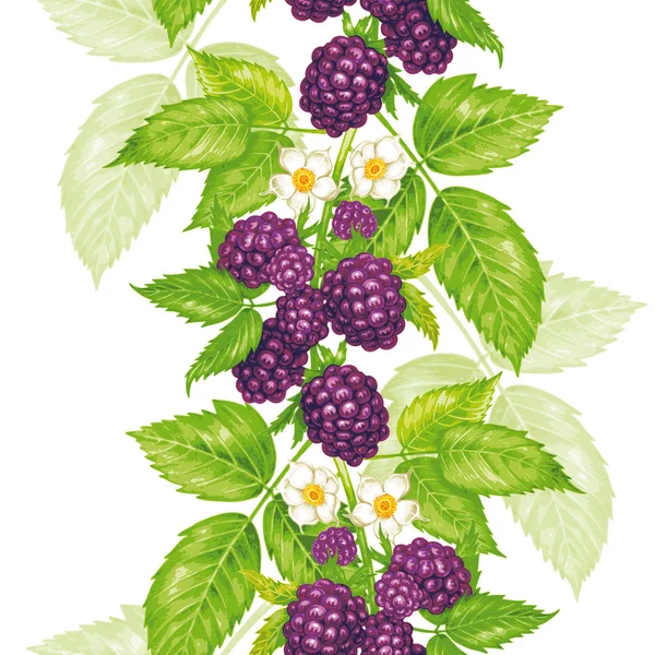Vector seamless floral pattern with blackberry. — Stock Vector