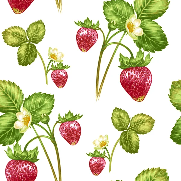 矢量无缝图案与鲜花和草莓. — 图库矢量图片