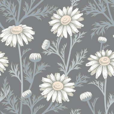 Papatya çiçekleri ile vektör dikişsiz desen.