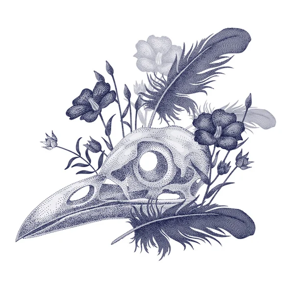 Ilustração crânio corvo . —  Vetores de Stock
