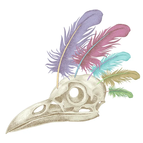 Illustration corbeau crâne . — Image vectorielle